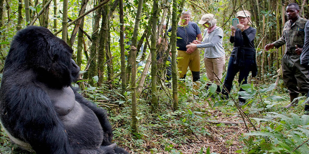 4 Days Uganda Double Gorilla Trekking