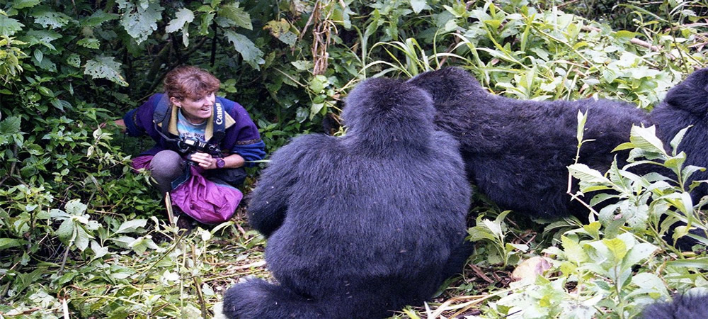 6 days best of uganda safari -Explore Bwindi Impenetrable National Park