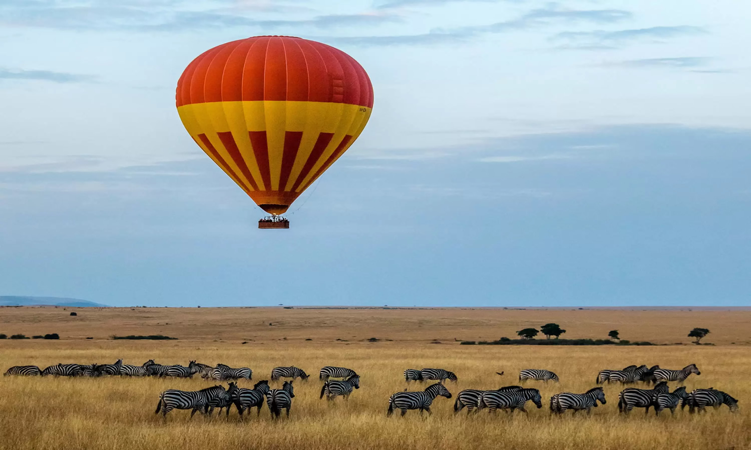 Safari hot air on sale balloon