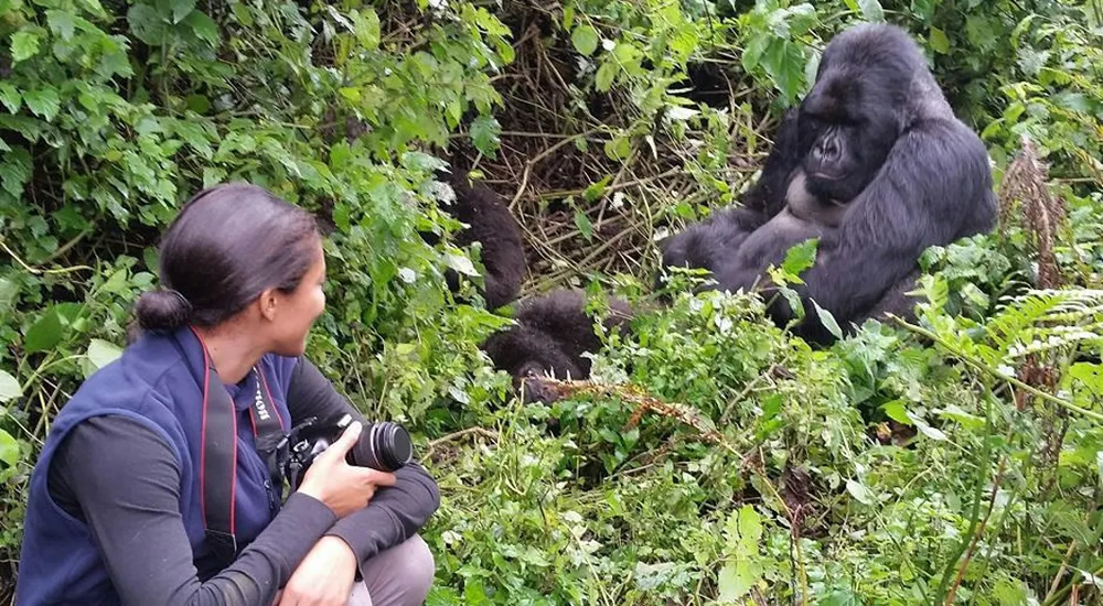 Gorilla Trekking in Uganda