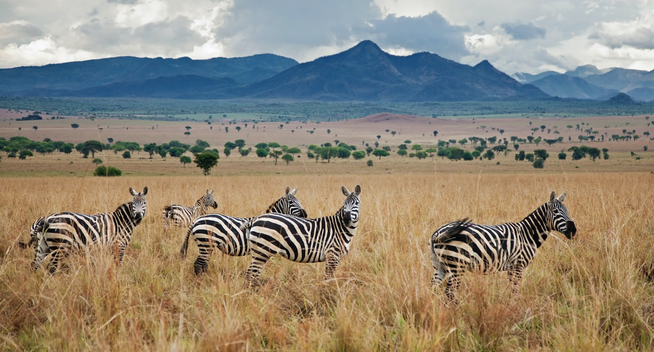 Kidepo Valley National Park