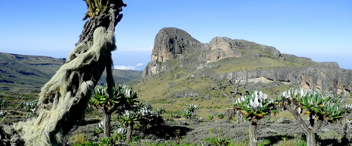 Mount Elgon National Park Uganda