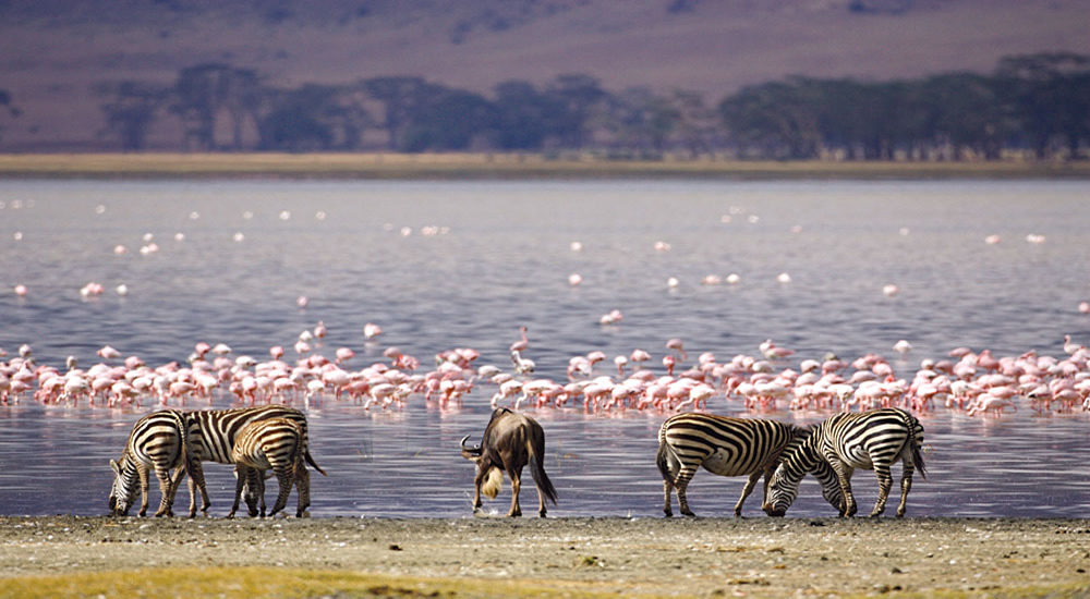 Lake Naivasha National Park, Entry fees & Top Things to do