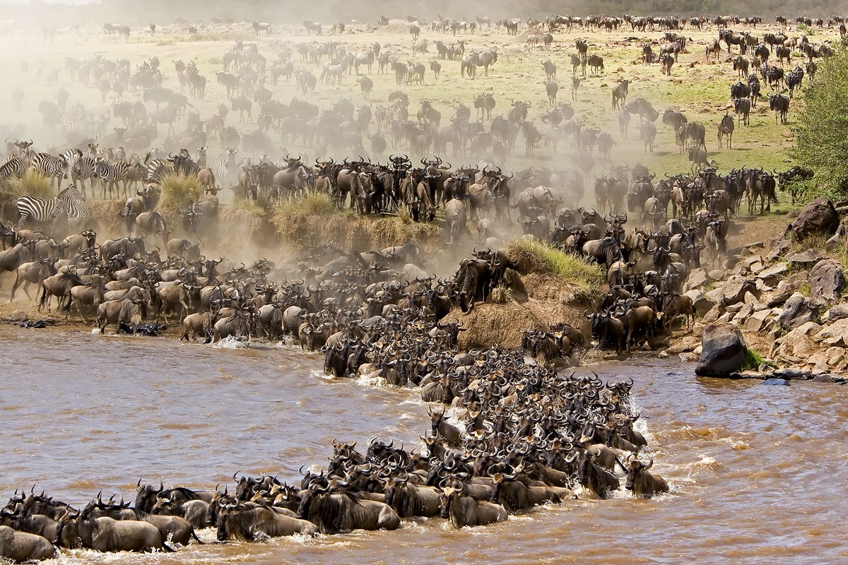 8 days wildebeest migration safari in Tanzania and Kenya