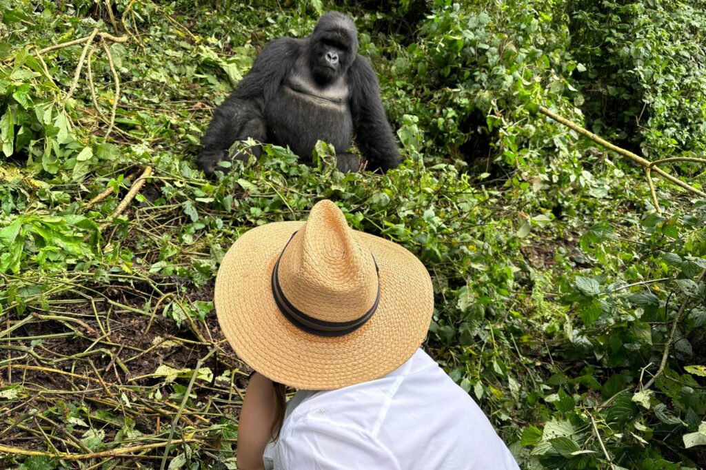 3 Days Uganda Gorilla Safari