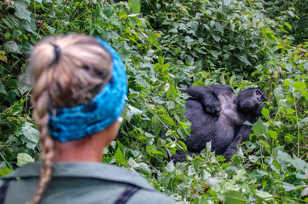 Responsible Gorilla Trekking