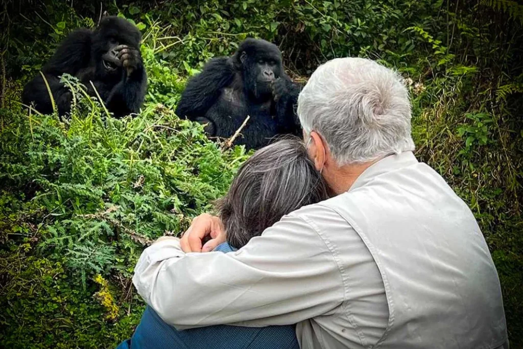 Gorilla Trekking Experiences in East Africa