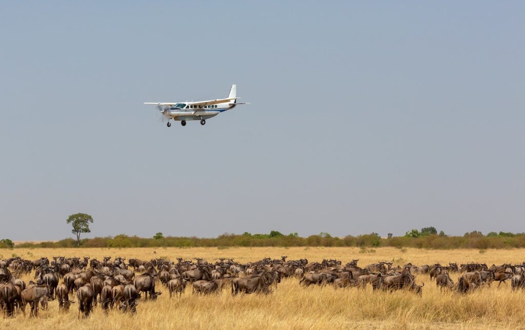 Fly Safaris in East Africa