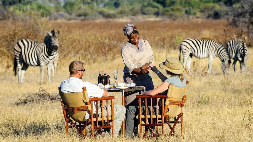 Game viewing after fly safari